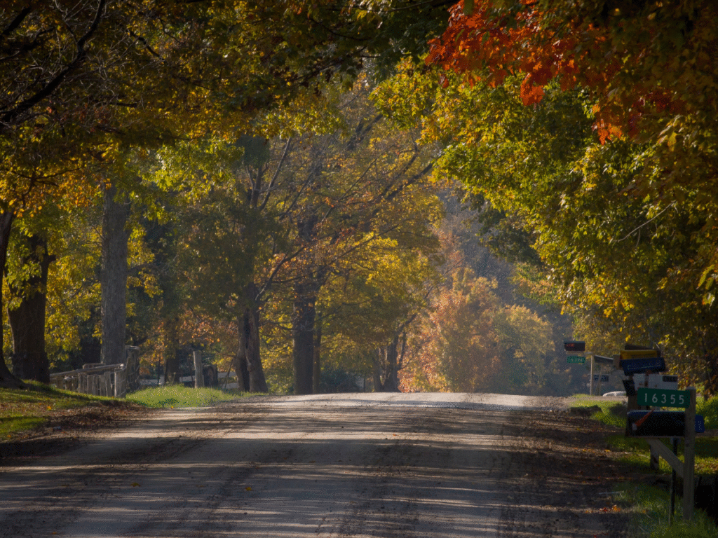 Driving Hazards In the Fall To Be Aware Of
