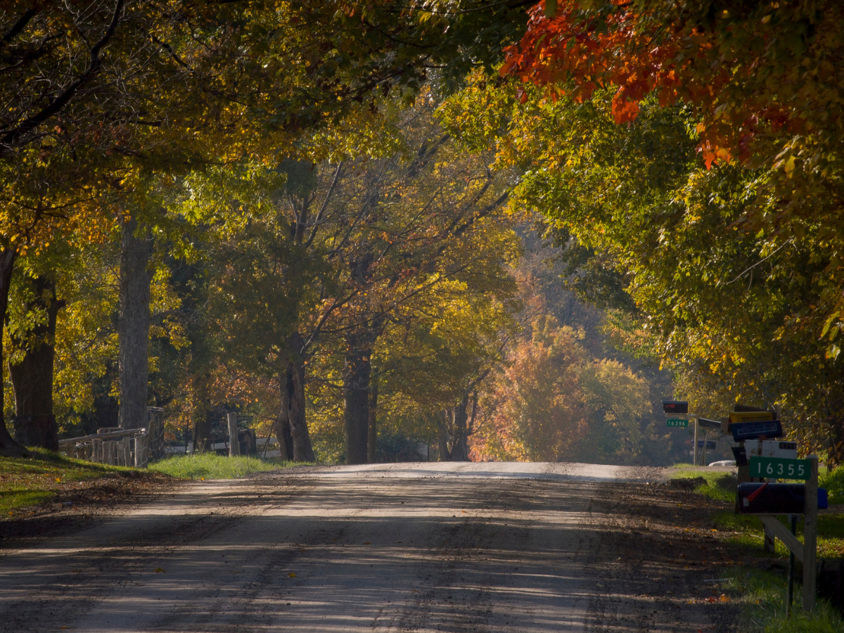 5 Fall Driving Hazards in Northeast Louisiana: Stay Safe on the Roads This Season